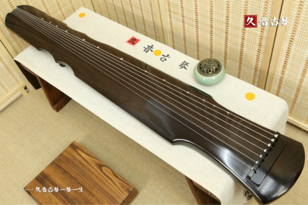 甘孜藏族自治州初级演奏古琴【伏羲式】
